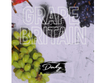 Кальянная смесь <br> Daly Code Grape Britain